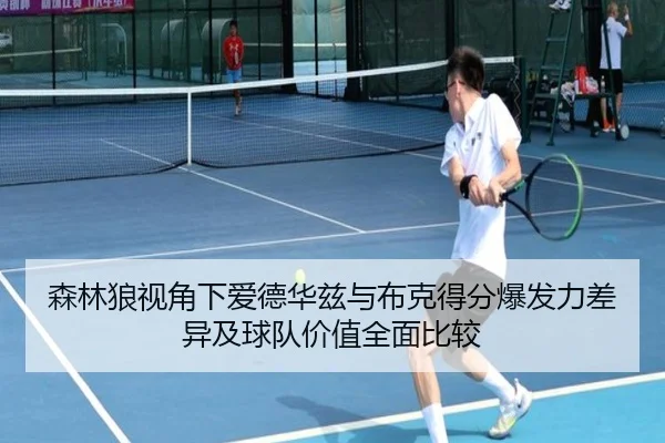 森林狼视角下爱德华兹与布克得分爆发力差异及球队价值全面比较