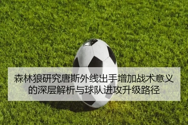 森林狼研究唐斯外线出手增加战术意义的深层解析与球队进攻升级路径
