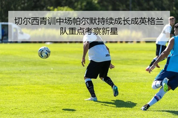 切尔西青训中场帕尔默持续成长成英格兰队重点考察新星